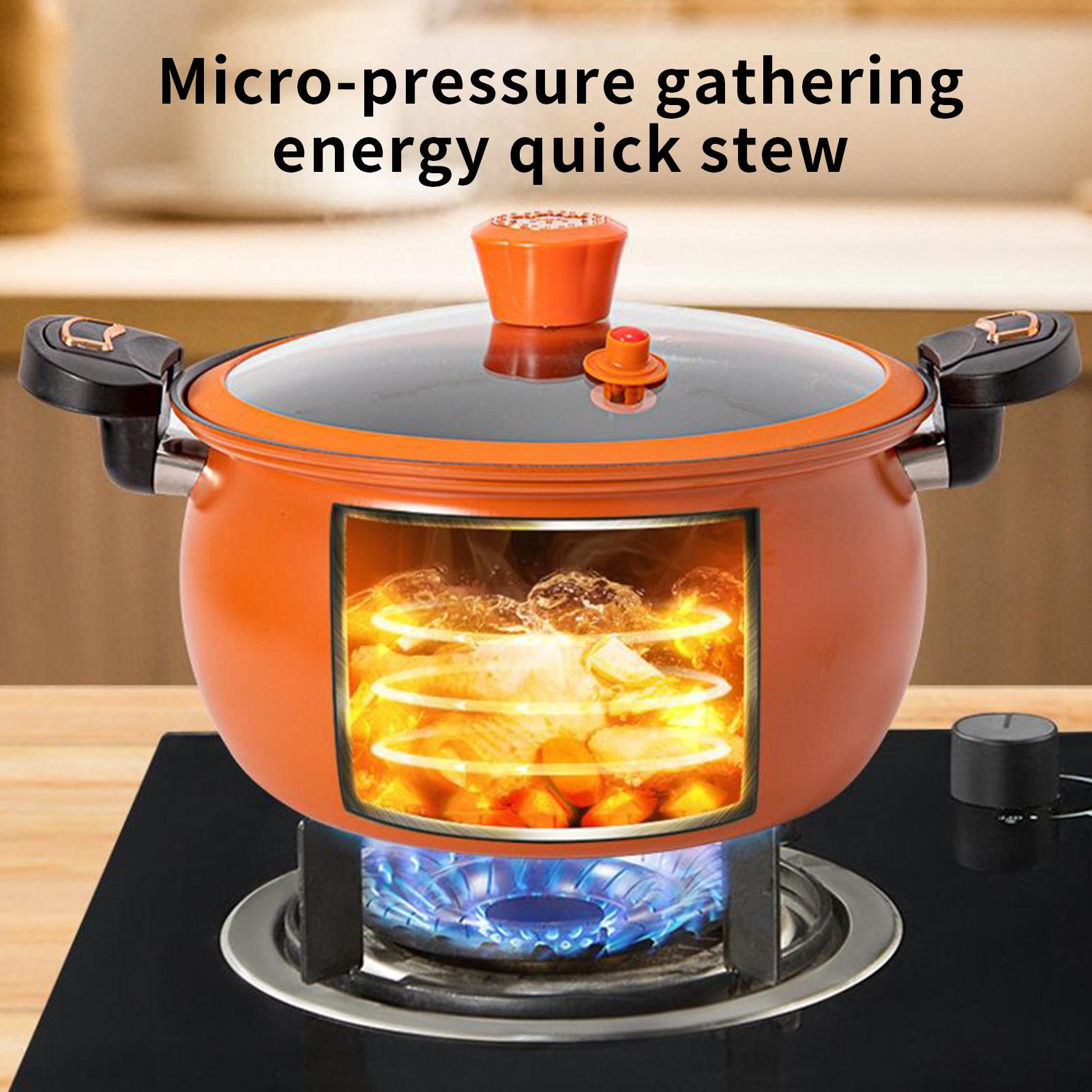 Pressure Cooker Cooking Pot fo - Home Cooking Fast Foods review and price
