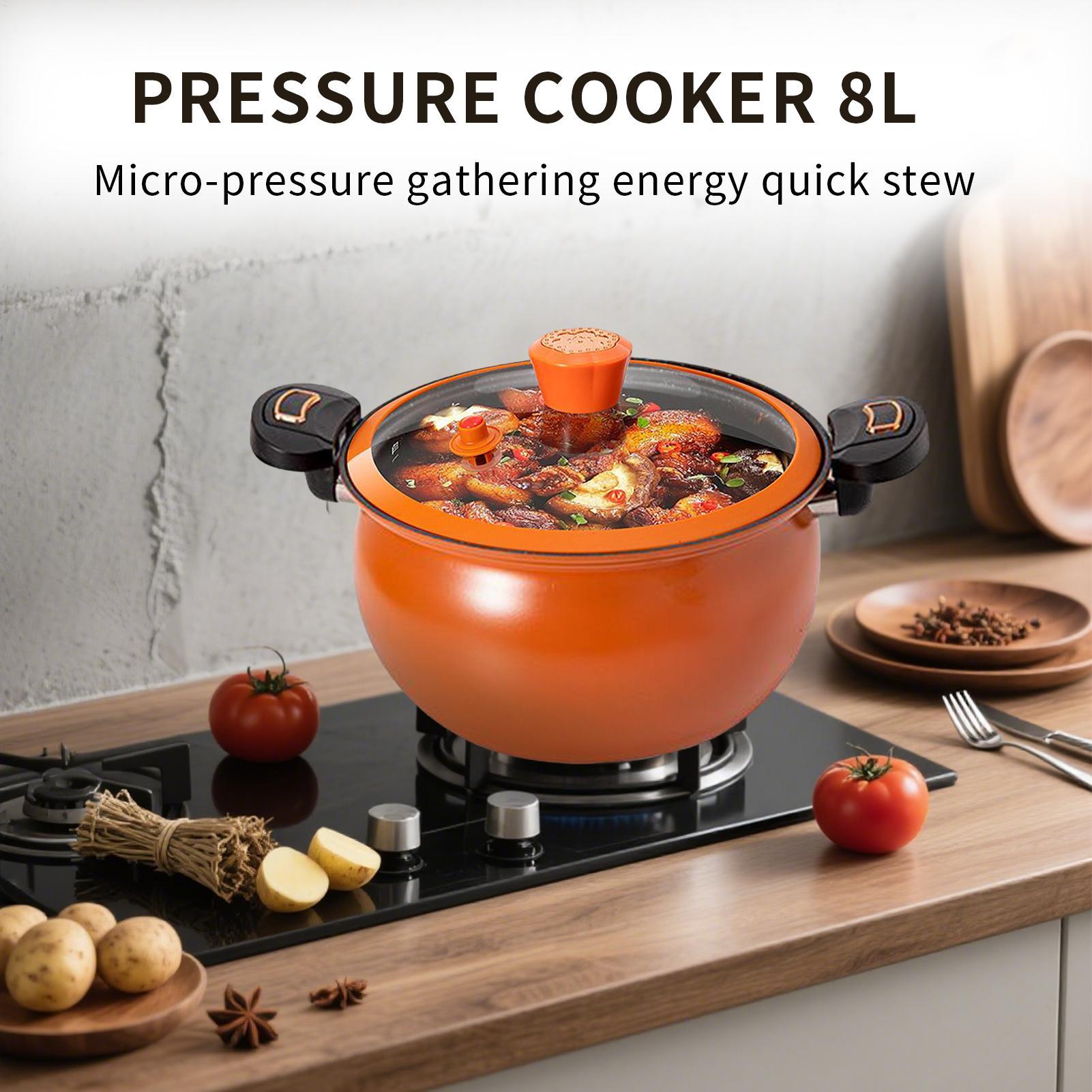 Small Pressure Cooker Non-Stic - Home Cooking Fast Foods review and price